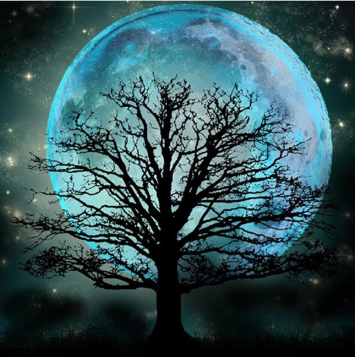 5D Diamond Painting Kit Full Round Beads Art Moon Tree