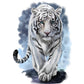 5D Diy Diamond Painting Kit Full Round Beads Tiger