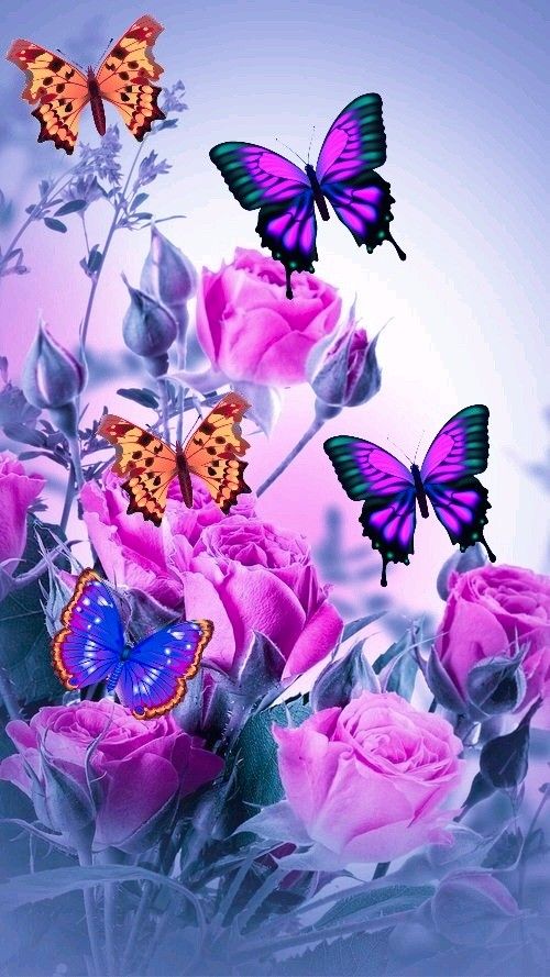 Butterfly | Full Round/Square Diamond Painting Kits 40x70cm 50x80cm B