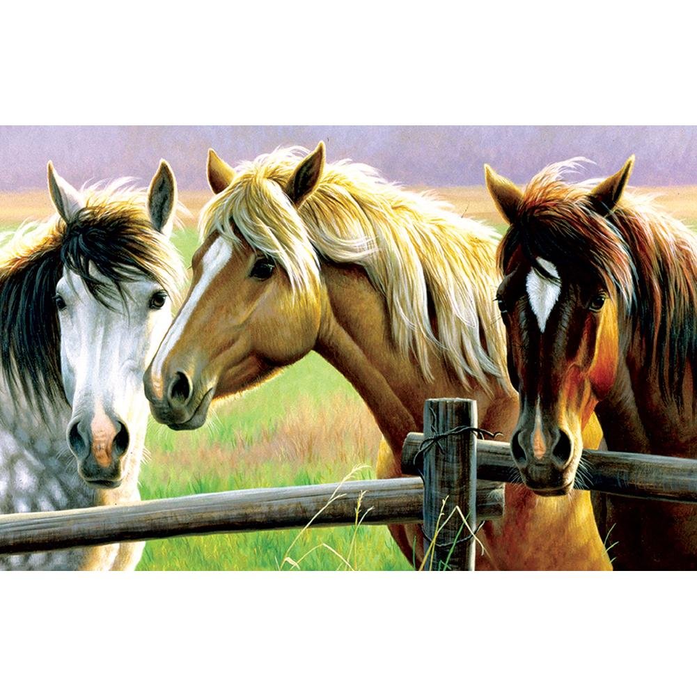 5D Diy Diamond Painting Kit Full Round Beads Horse