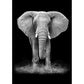 5D Diy Diamond Painting Kit Full Round Beads Elephant