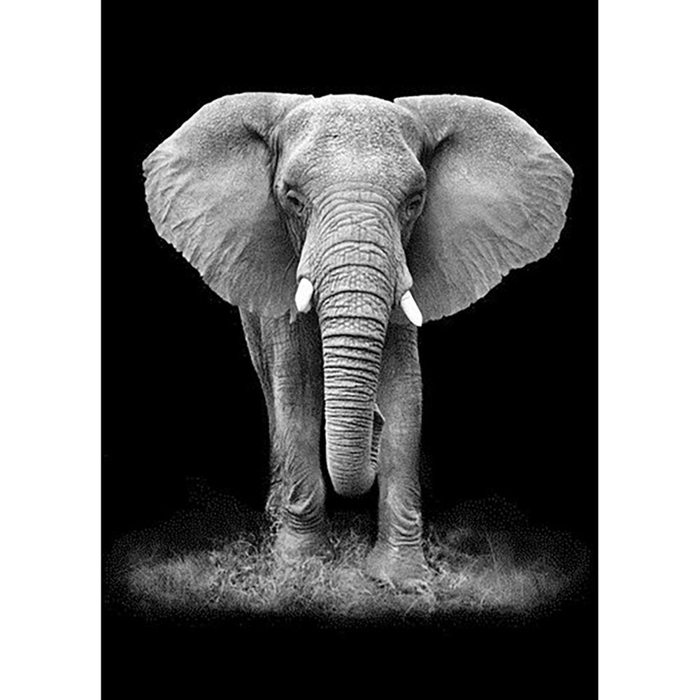 5D Diy Diamond Painting Kit Full Round Beads Elephant