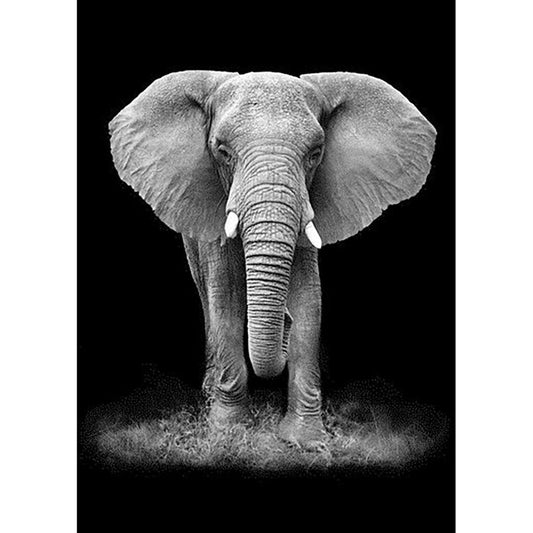 5D Diy Diamond Painting Kit Full Round Beads Elephant