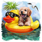 5D Diy Diamond Painting Kit Full Round Beads Swimming Dog