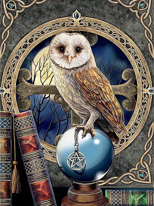 5D Diy Diamond Painting Kit Full Round Beads Standing Owl