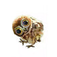 Paint By Number Oil Painting Owl (40*50cm)