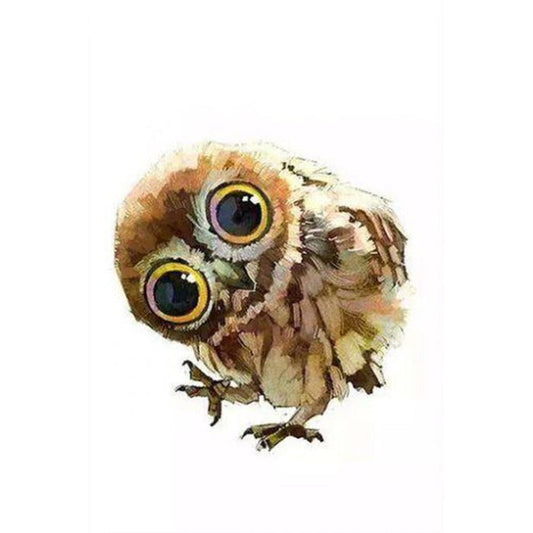 Paint By Number Oil Painting Owl (40*50cm)