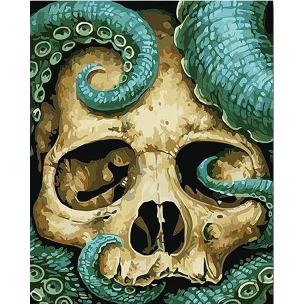 Paint By Number Oil Painting Skull Head (40*50cm)