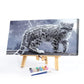 Paint By Number Kit Drawing Snow Leopard Canvas Acrylic Home Wall Decor