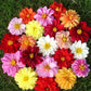 5D Diy Diamond Painting Kit Full Round Beads Colorful Flowers