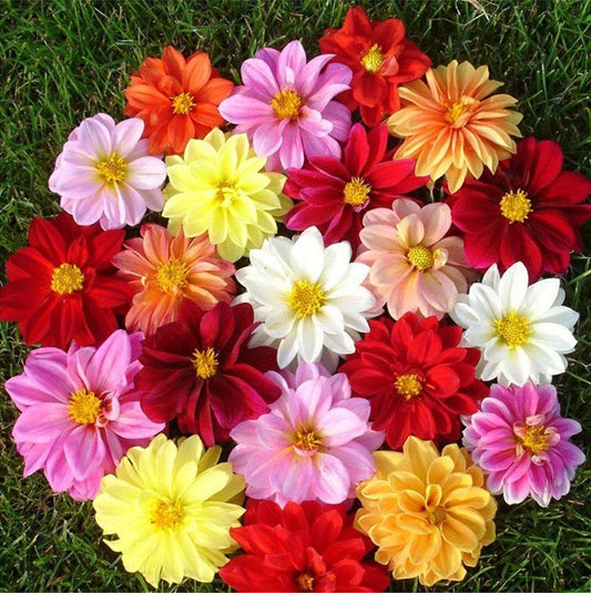 5D Diy Diamond Painting Kit Full Round Beads Colorful Flowers