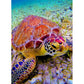 Paint By Number Oil Painting Sea Turtle (40*50cm)