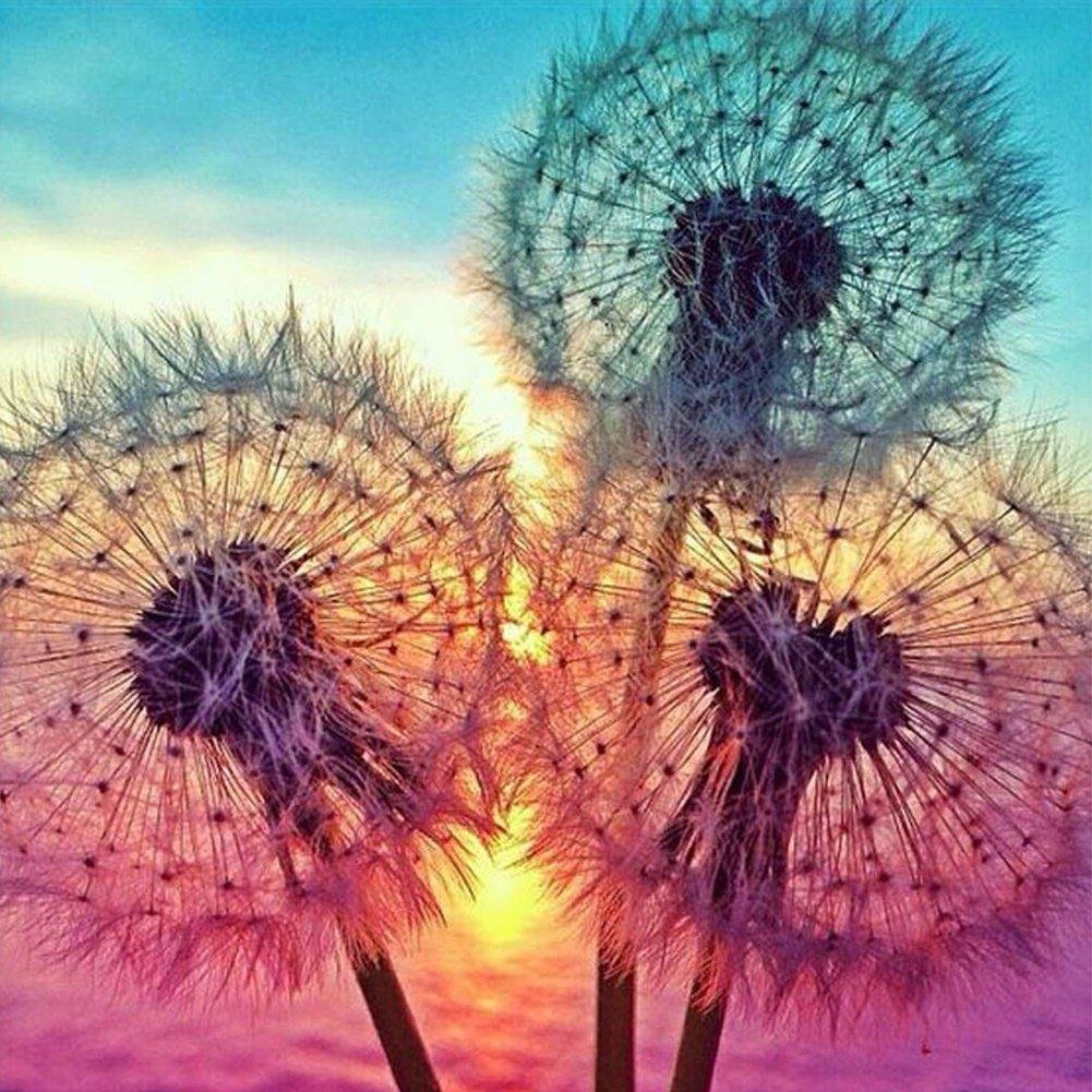 5D Diy Diamond Beads Art Full Square Resin Dandelion