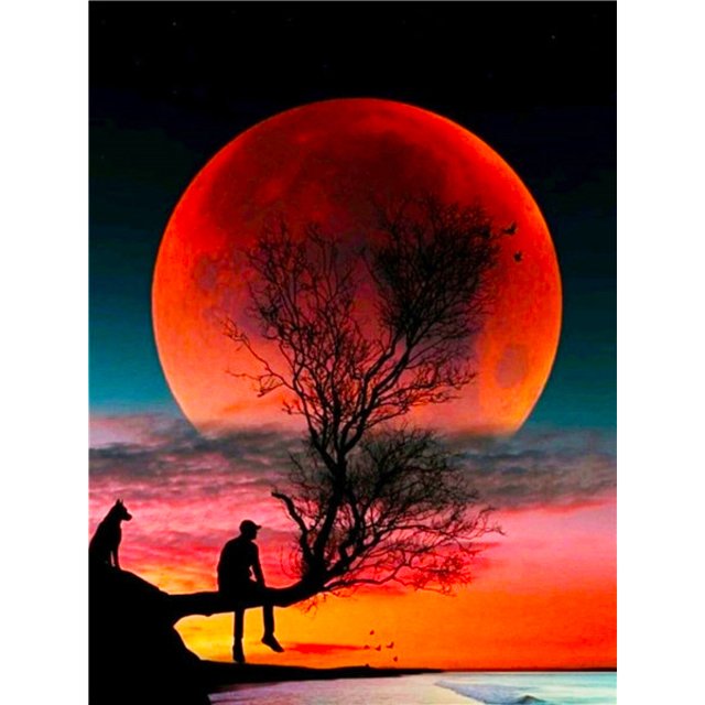 Tree In Sunset Diamond Painting Kit