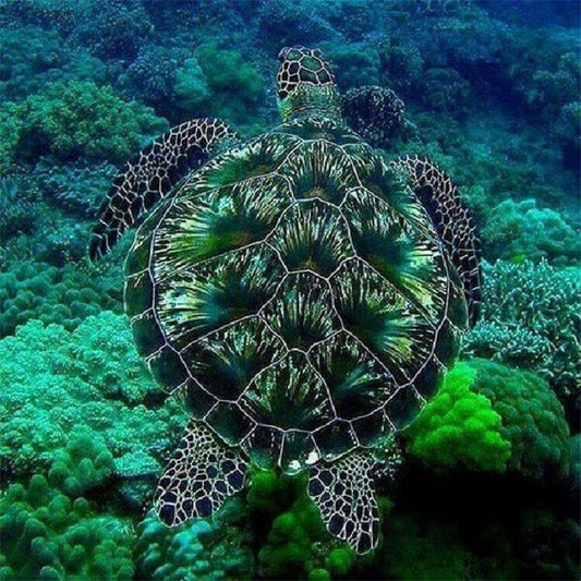5D Diy Diamond Painting Kit Full Round Beads Swimming Turtle