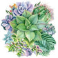 Diamond Painting - Full Round - Succulent