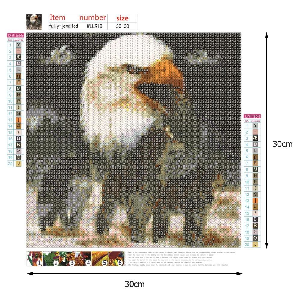 Diamond Painting - Full Round - Eagle & Wolf