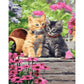 Oil Painting By Numbers Chair Cats Hand Painted Canvas Picture  