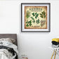Diamond Painting - Full Round - Herbes