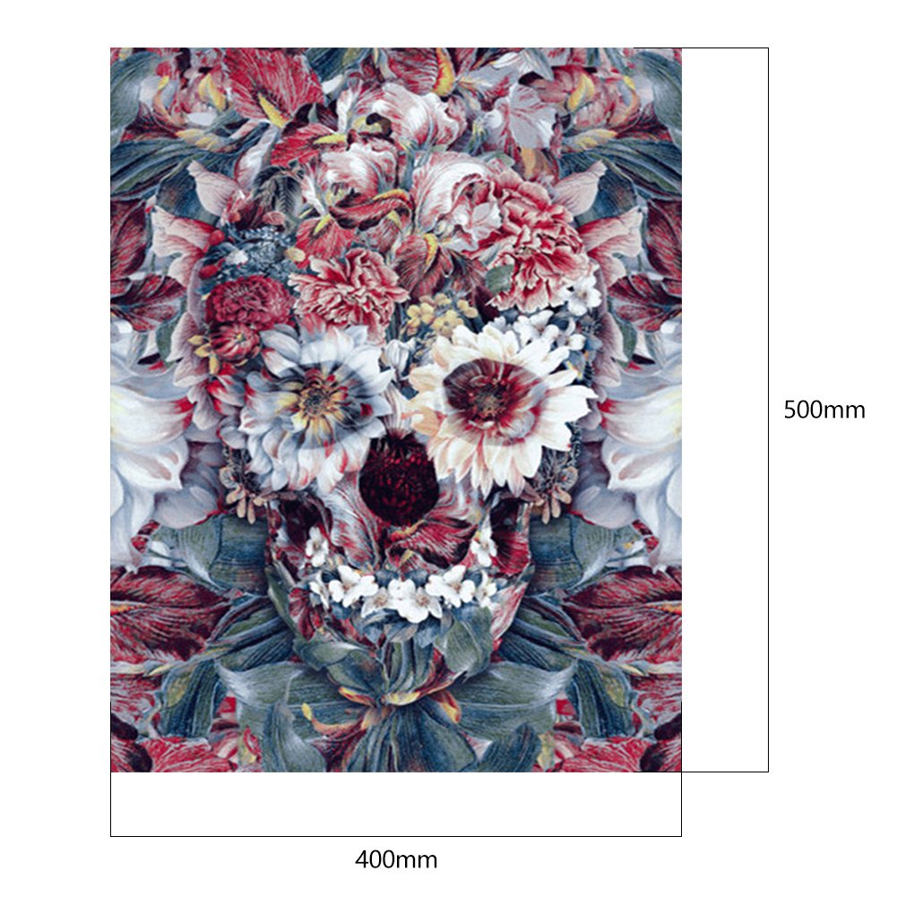 Paint By Number - Oil Painting - Skull Head (40*50cm) C