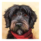 5D Diy Diamond Painting Kit Full Round Beads Lovely Black Dog