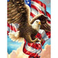 Diamond Paintings Art Full Drill US Flag Eagle