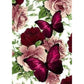 14ct Stamped Cross Stitch Butterfly(46*36cm)