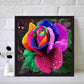 Diamond Painting - Full Round - Colorful Rose 3
