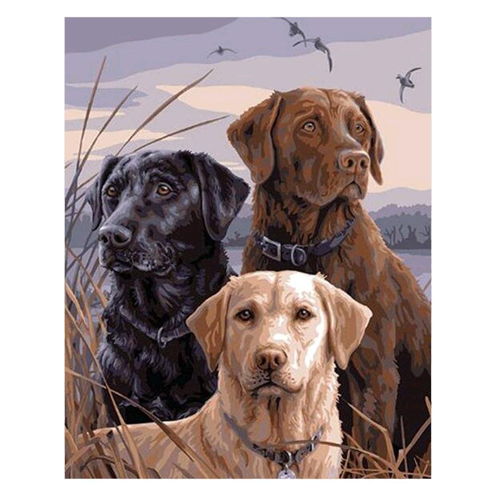 5D Diy Diamond Painting Kit Full Round Beads Dogs