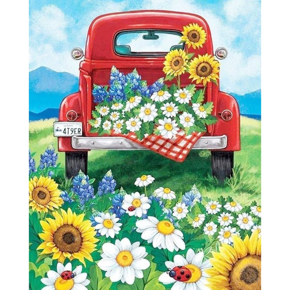 5D Diy Diamond Painting Kit Full Round Beads Flower Car