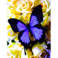 purple butterfly on white flower diamond painting