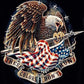 Diamond Painting - Full Round - Eagle A