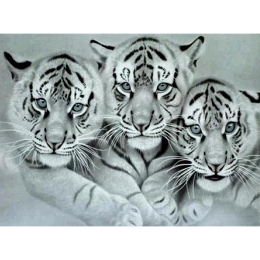 5D Diy Diamond Painting Kit Full Round Beads 3 Tigers