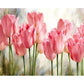 Painting By Numbers Kit Oil Painting Art Picture Beautiful Flower