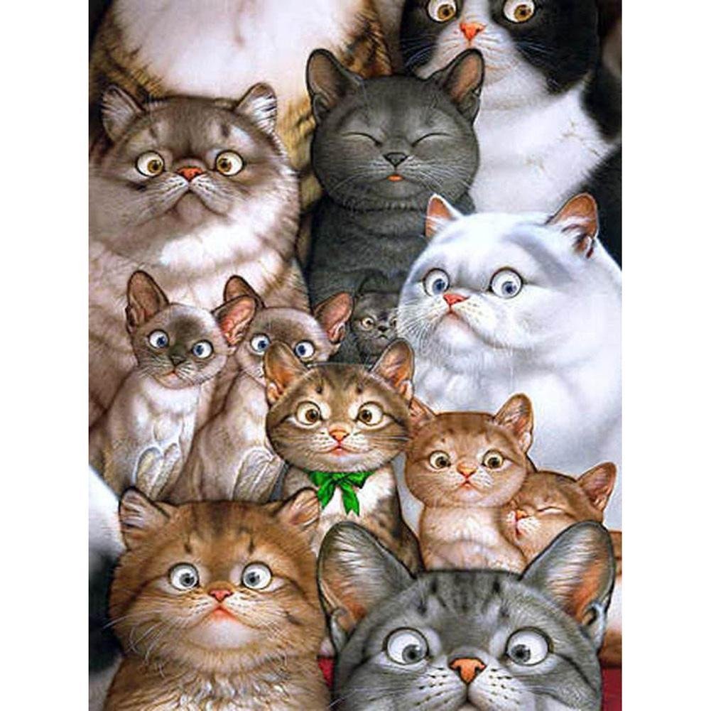 5D Diy Diamond Painting Kit Full Round Beads Cats Family