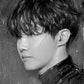 BTS South Korea Idol diamond painting 5
