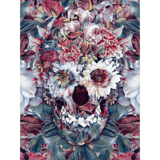 Paint By Number Oil Painting Skull Head (40*50cm)