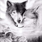5D Diy Diamond Painting Kit Full Round Beads Wolf