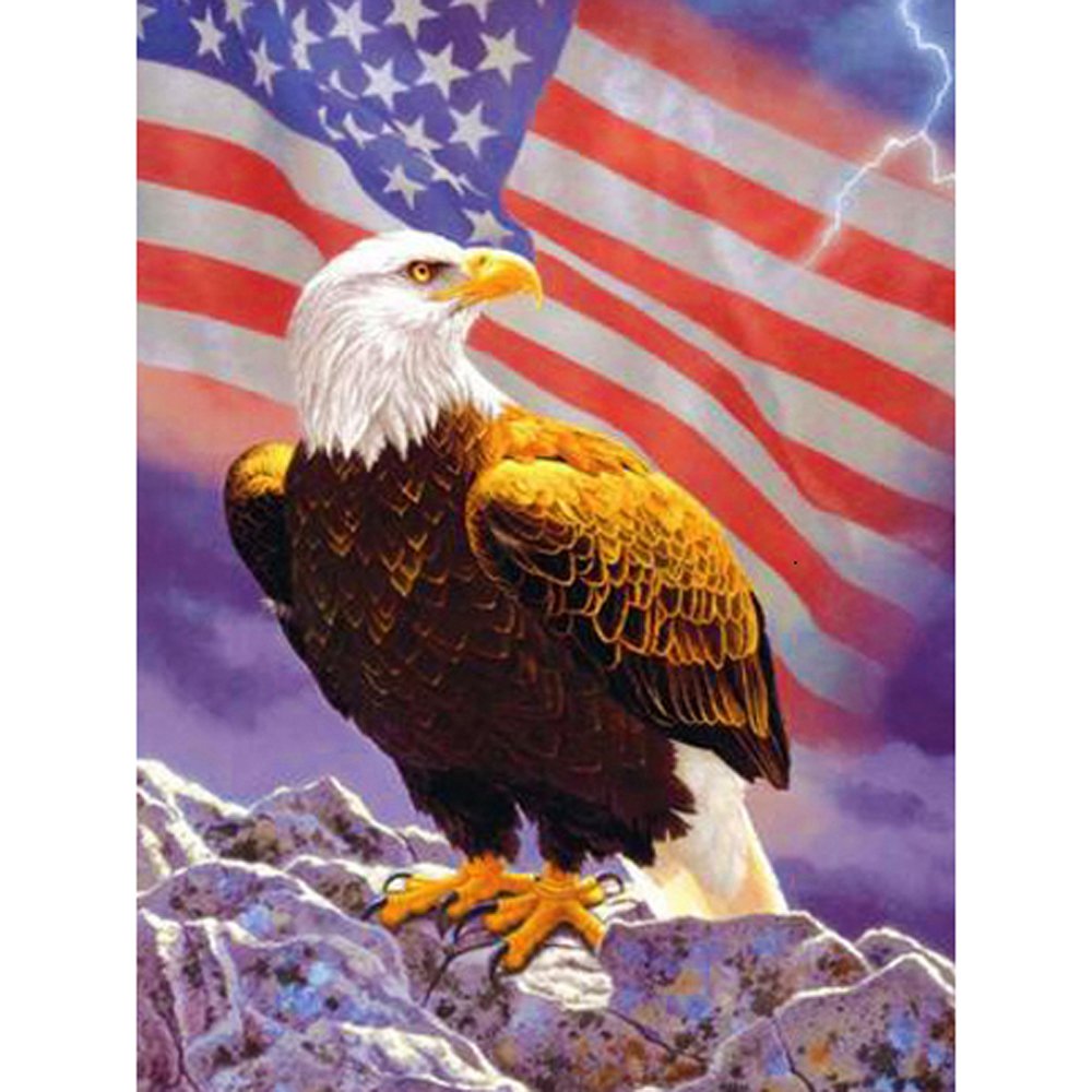 Diamond Paintings Art Full Drill US Flag Eagle
