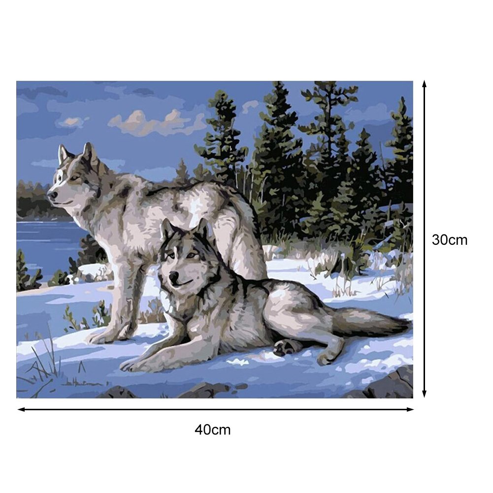 Paint By Number - Oil Painting - Snow Wolves (40*30cm)