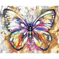 Paint By Number Home Decor Oil Painting Wall Art Craft Butterfly (40*50cm)
