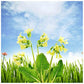 Blue Sky Flower Round Beads embroidery Craft