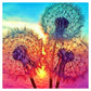 11ct Stamped Cross Stitch Dandelion Quilting Fabric (36*36cm)