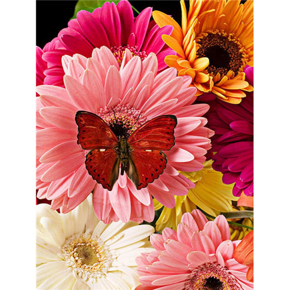 butterfly on flower 5d spring diamond art
