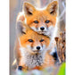 5D Diy Diamond Painting Kit Full Round Beads Fox