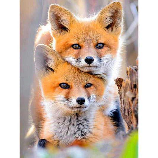 5D Diy Diamond Painting Kit Full Round Beads Fox