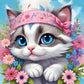 Cat In The Hood Diamond Painting