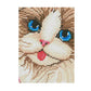 cat in roses diamond painting details