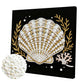 DIY Pearl Painting With Frame - Handmade Self-Adhesive Pearls - Shell (25*25cm) B