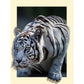Diamond Painting - Partial Round - Tiger 2